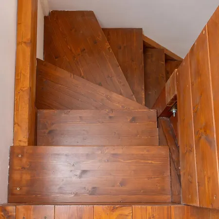 Farma Il Nazareno - Civetta Cecina (Livorno)