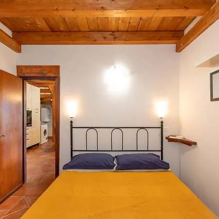 Il Nazareno - Civetta * Cecina (Livorno)