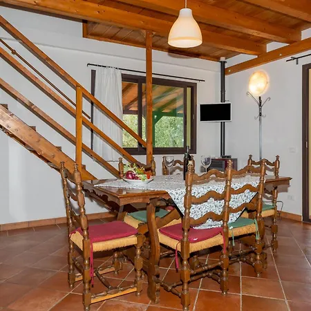 Il Nazareno - Civetta Cecina (Livorno)