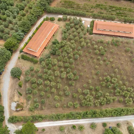 Gospodarstwo agroturystyczne Il Nazareno - Civetta